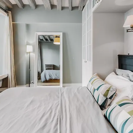 Beautiful Parisian Full Of Light *